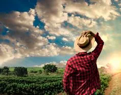 Today Stories - NG281